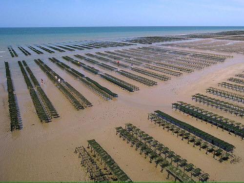 Les Pommiers Duplex Cosy Tout Confort Dans Maison Neuve Avec Terrasse Entree Independante 5 Mn De Bayeux Et 10 Mn Plage Du Debarquement Sommervieu Екстер'єр фото